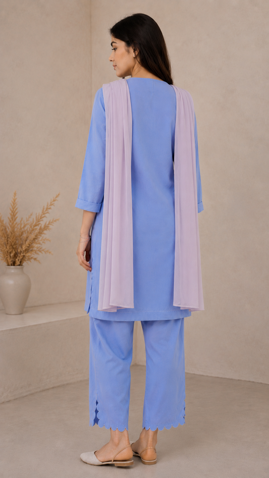 Sky blue linen straight kurta